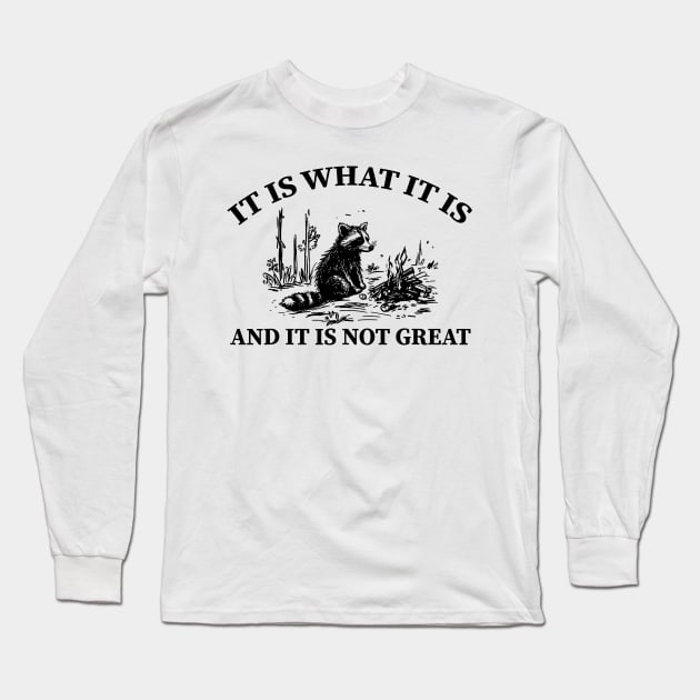 It Is What It Is And It Is Not Great funny raccoon Long Sleeve T-Shirt by SonyaKorobkova